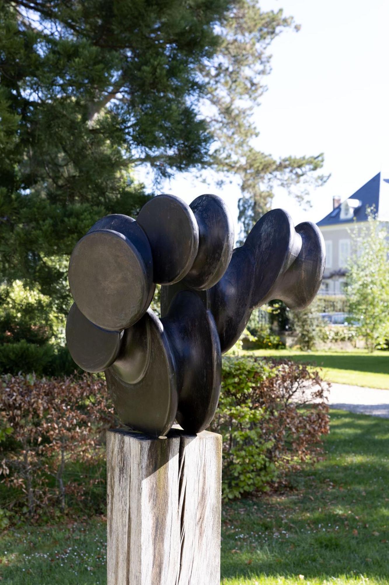 Chateau De La Resle - Design Hotels Montigny-la-Resle Dış mekan fotoğraf